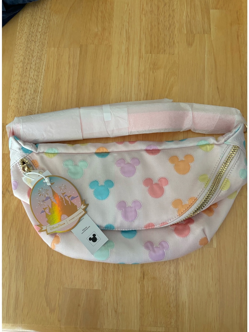 Stoney Clover Lane x Disney Pastel Rainbow Mickey Mouse Icon Head x Jumbo Fanny